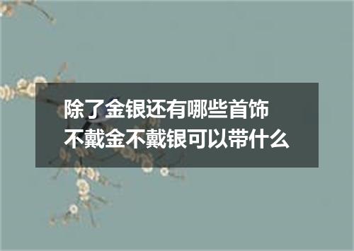 除了金银还有哪些首饰 不戴金不戴银可以带什么