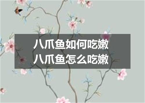 八爪鱼如何吃嫩 八爪鱼怎么吃嫩