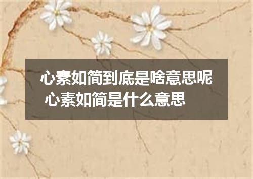 心素如简到底是啥意思呢 心素如简是什么意思