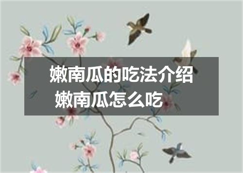 嫩南瓜的吃法介绍 嫩南瓜怎么吃