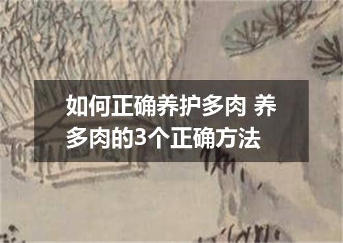 如何正确养护多肉 养多肉的3个正确方法