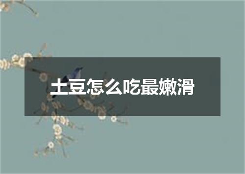 土豆怎么吃最嫩滑