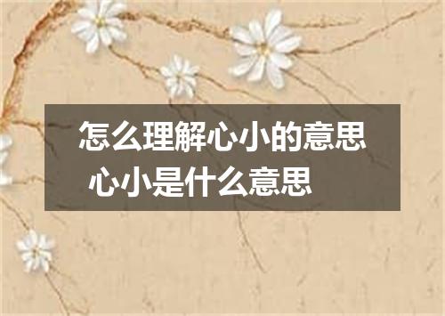 怎么理解心小的意思 心小是什么意思