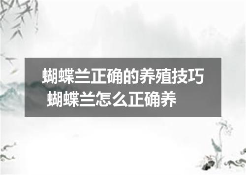 蝴蝶兰正确的养殖技巧 蝴蝶兰怎么正确养