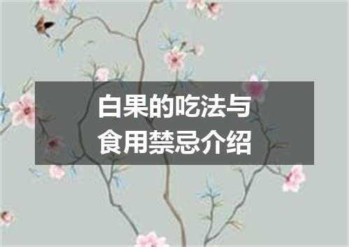 白果的吃法与食用禁忌介绍