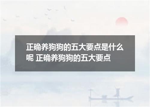 正确养狗狗的五大要点是什么呢 正确养狗狗的五大要点