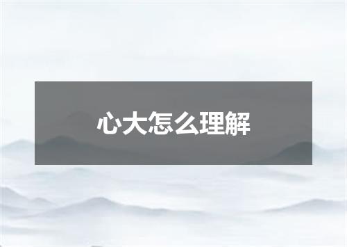 心大怎么理解