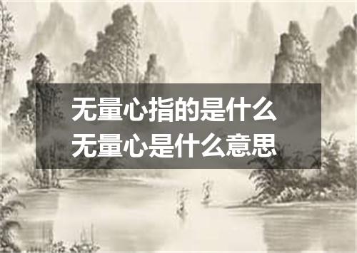 无量心指的是什么 无量心是什么意思