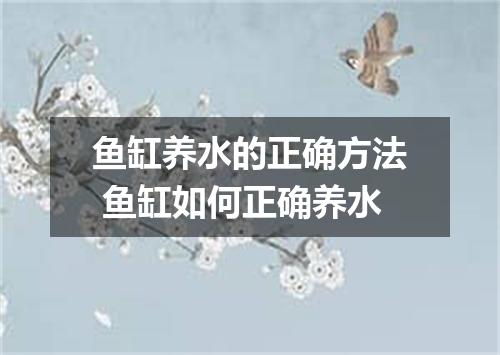 鱼缸养水的正确方法 鱼缸如何正确养水