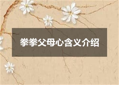 拳拳父母心含义介绍
