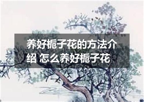 养好栀子花的方法介绍 怎么养好栀子花