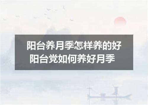 阳台养月季怎样养的好 阳台党如何养好月季