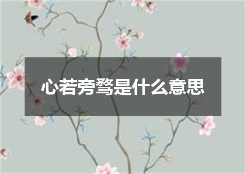 心若旁骛是什么意思