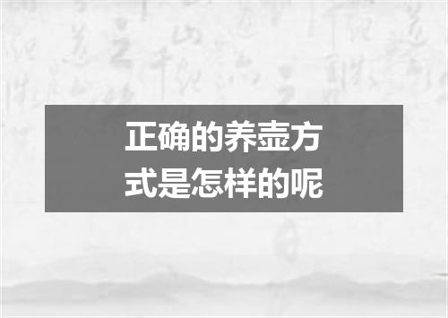 正确的养壶方式是怎样的呢
