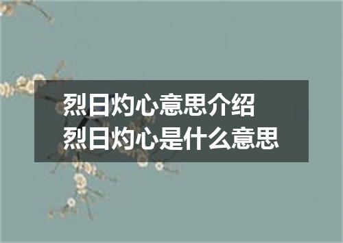 烈日灼心意思介绍 烈日灼心是什么意思