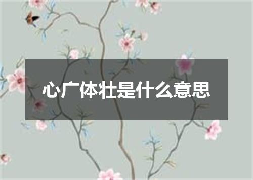 心广体壮是什么意思