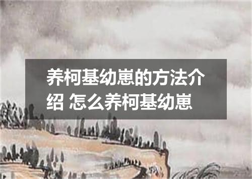 养柯基幼崽的方法介绍 怎么养柯基幼崽