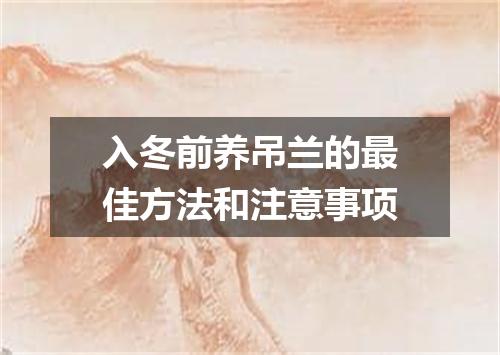 入冬前养吊兰的最佳方法和注意事项