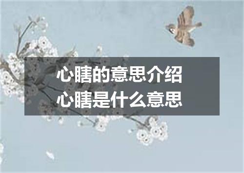 心瞎的意思介绍 心瞎是什么意思