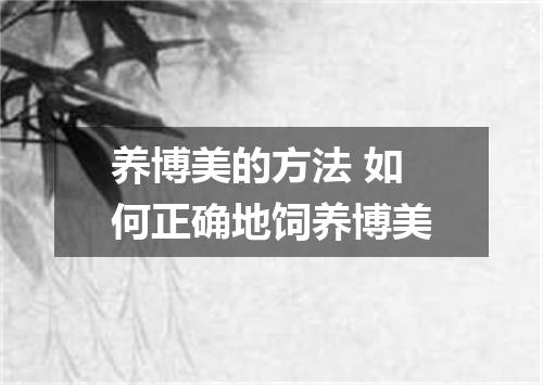 养博美的方法 如何正确地饲养博美