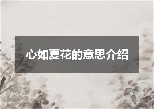 心如夏花的意思介绍