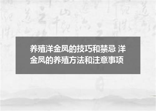 养殖洋金凤的技巧和禁忌 洋金凤的养殖方法和注意事项