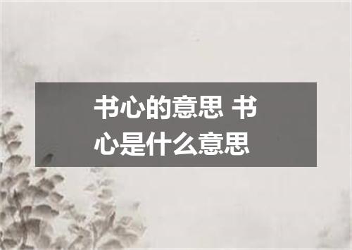 书心的意思 书心是什么意思
