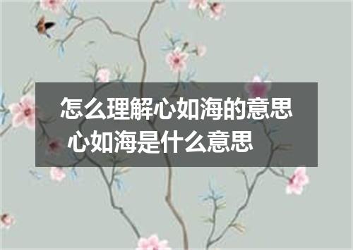 怎么理解心如海的意思 心如海是什么意思
