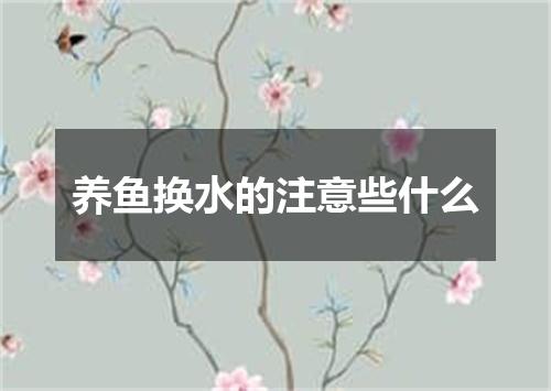 养鱼换水的注意些什么
