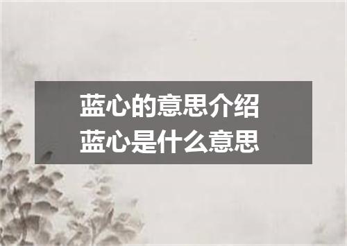 蓝心的意思介绍 蓝心是什么意思
