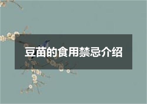 豆苗的食用禁忌介绍