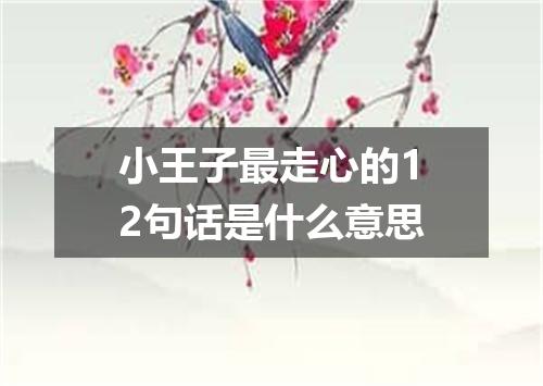 小王子最走心的12句话是什么意思