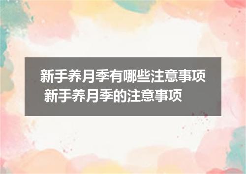新手养月季有哪些注意事项 新手养月季的注意事项