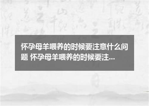 怀孕母羊喂养的时候要注意什么问题 怀孕母羊喂养的时候要注意哪些方面的问题