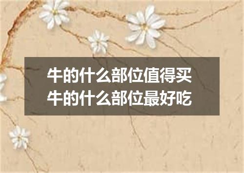 牛的什么部位值得买 牛的什么部位最好吃