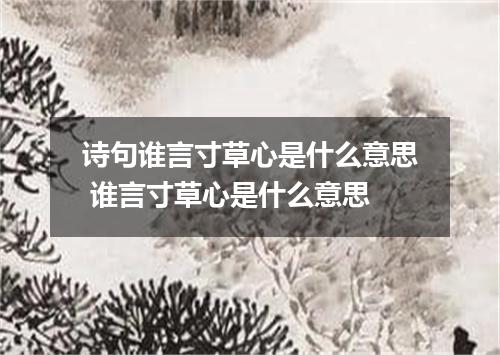 诗句谁言寸草心是什么意思 谁言寸草心是什么意思