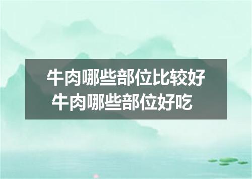 牛肉哪些部位比较好 牛肉哪些部位好吃