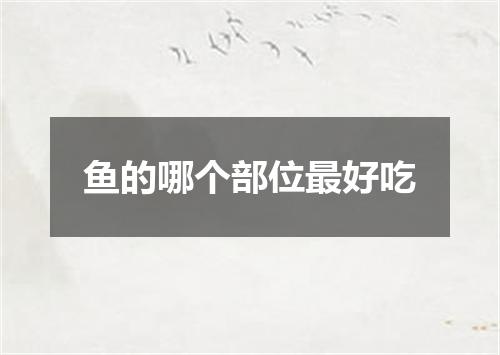 鱼的哪个部位最好吃