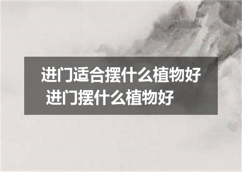 进门适合摆什么植物好 进门摆什么植物好