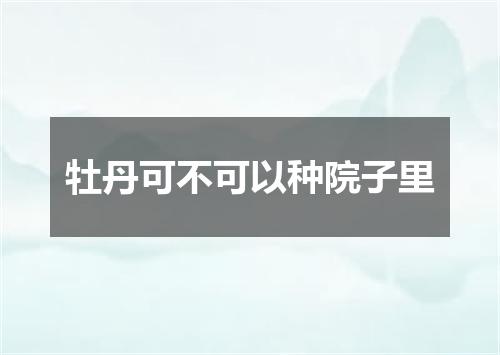 牡丹可不可以种院子里