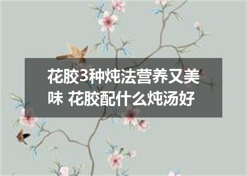 花胶3种炖法营养又美味 花胶配什么炖汤好