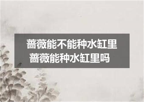 蔷薇能不能种水缸里 蔷薇能种水缸里吗