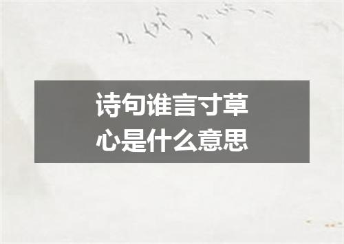 诗句谁言寸草心是什么意思