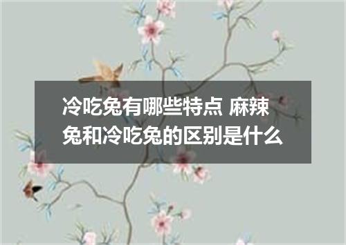冷吃兔有哪些特点 麻辣兔和冷吃兔的区别是什么