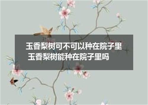 玉香梨树可不可以种在院子里 玉香梨树能种在院子里吗
