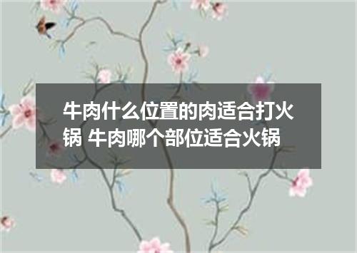 牛肉什么位置的肉适合打火锅 牛肉哪个部位适合火锅