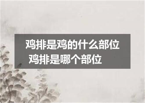 鸡排是鸡的什么部位 鸡排是哪个部位