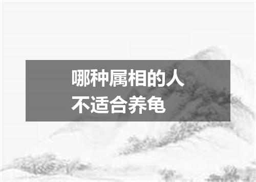 哪种属相的人不适合养龟