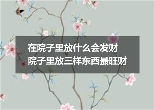 在院子里放什么会发财 院子里放三样东西最旺财