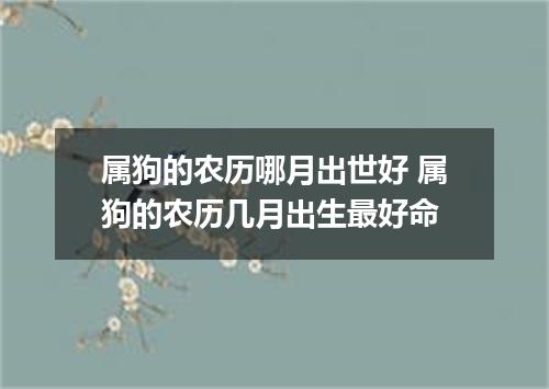 属狗的农历哪月出世好 属狗的农历几月出生最好命